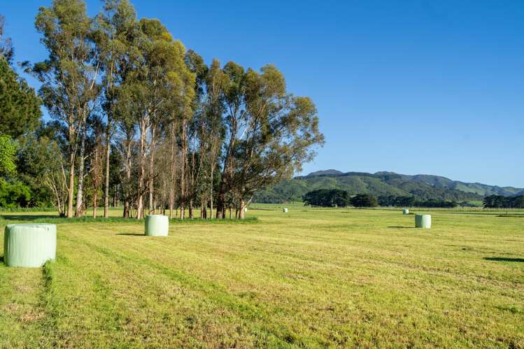 66c Thomas Road Carterton_5
