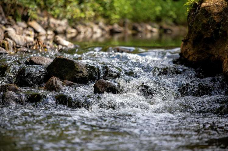 Lots 10-24 54a Redcliffs Road Kerikeri_18