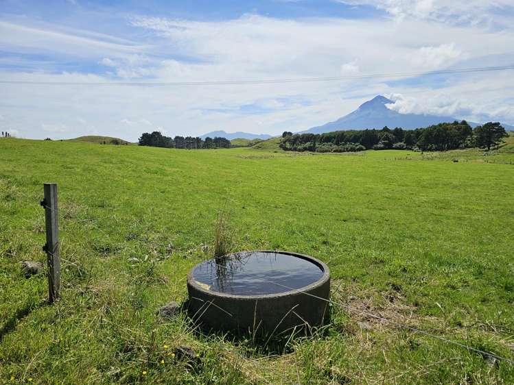 955 Opua Road Opunake_5