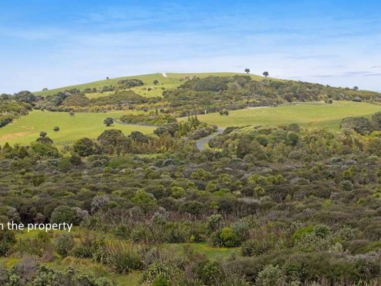 56 Kotanui Avenue Army Bay_18