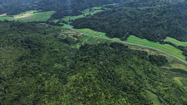 40Ha Block State Highway 67 Mokihinui_28