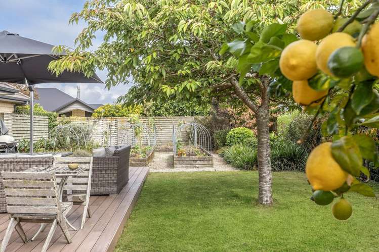 24 Honiss Place Cambridge_17