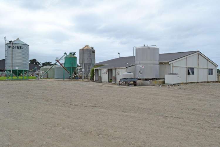 139 Phar Lap Road Seadown_6