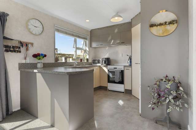 46d Brandon Street Alexandra_4