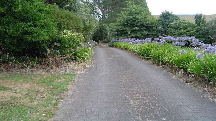 622 Brett Road Rerewhakaaitu_1