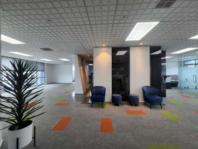 Mt Eden Fully Furnished Office 58–238m²