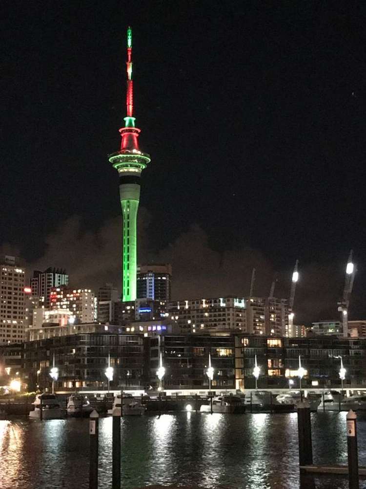 2G/20 Pakenham St East_0