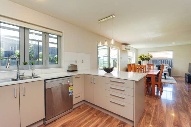 29a Ellis Avenue Mount Roskill_4