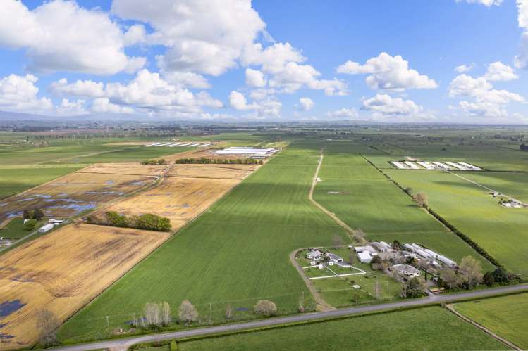 Waghorn Road Manawaru_11