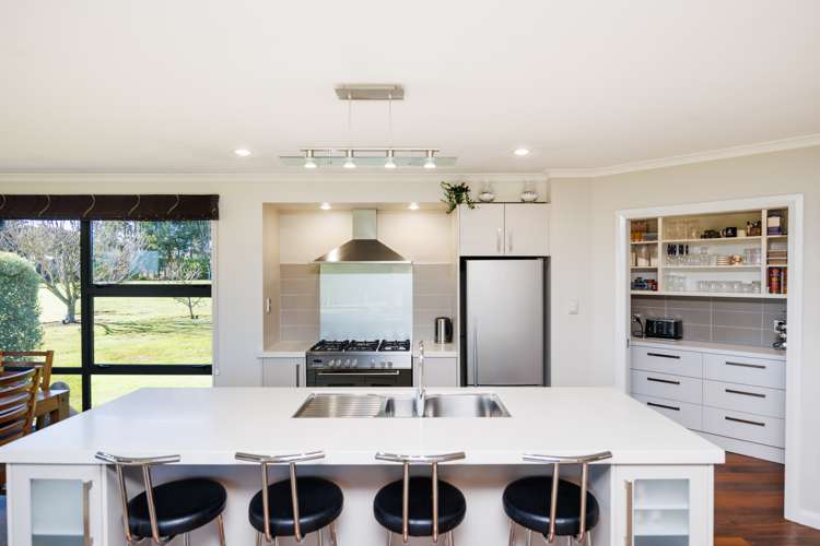 249f Watershed Road Bunnythorpe_4