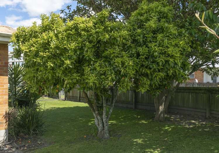 13 Harlock Place Huntly_23