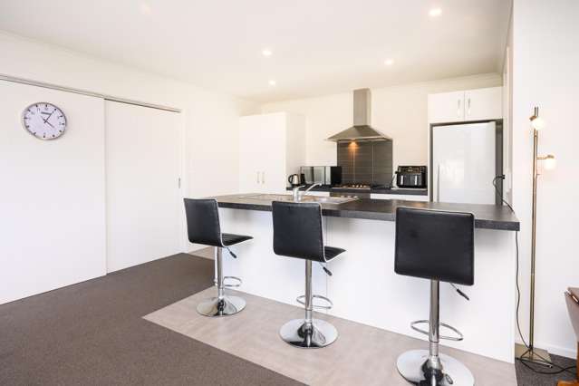 65b Albert Street Palmerston North Central_3