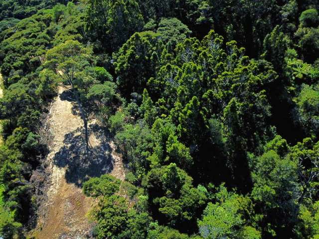 22 Harpoon Hill Great Barrier Island (Aotea Island)_3