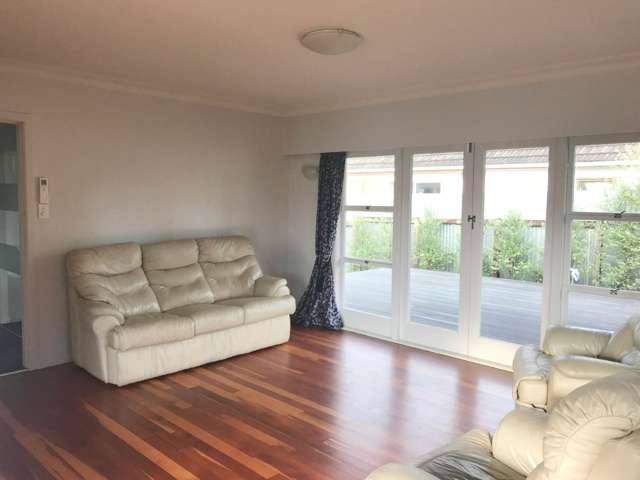 8 Hooper Avenue Pukekohe_4