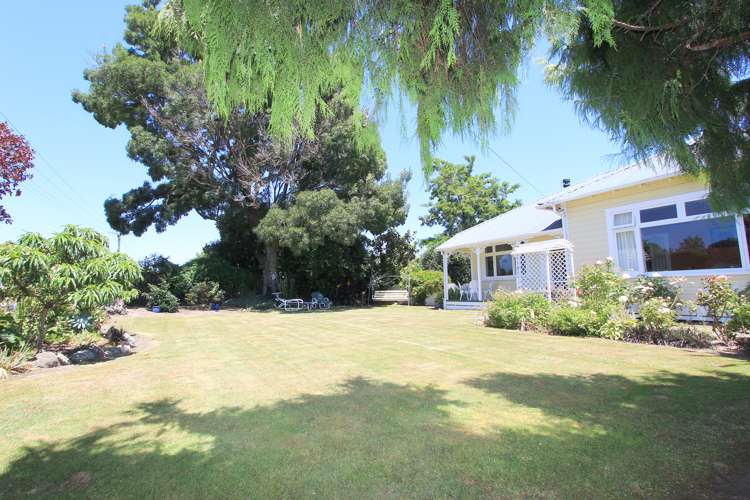 31 Rose Street Springlands_1