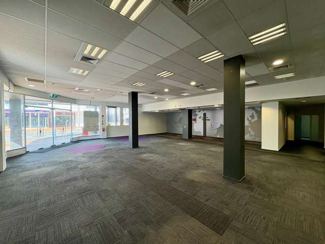 139 Willow Street Tauranga Central_1