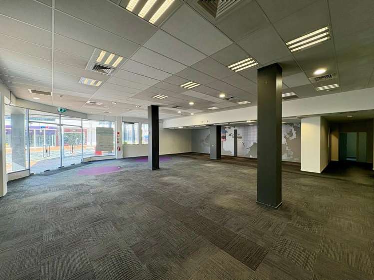 139 Willow Street Tauranga Central_1