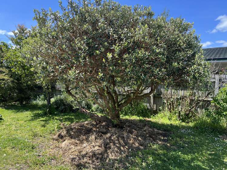 15A Kent Street Carterton_16