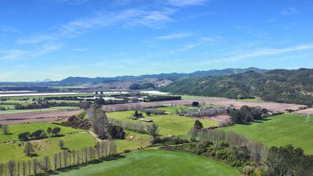 418 Galatea Road Te Teko_4