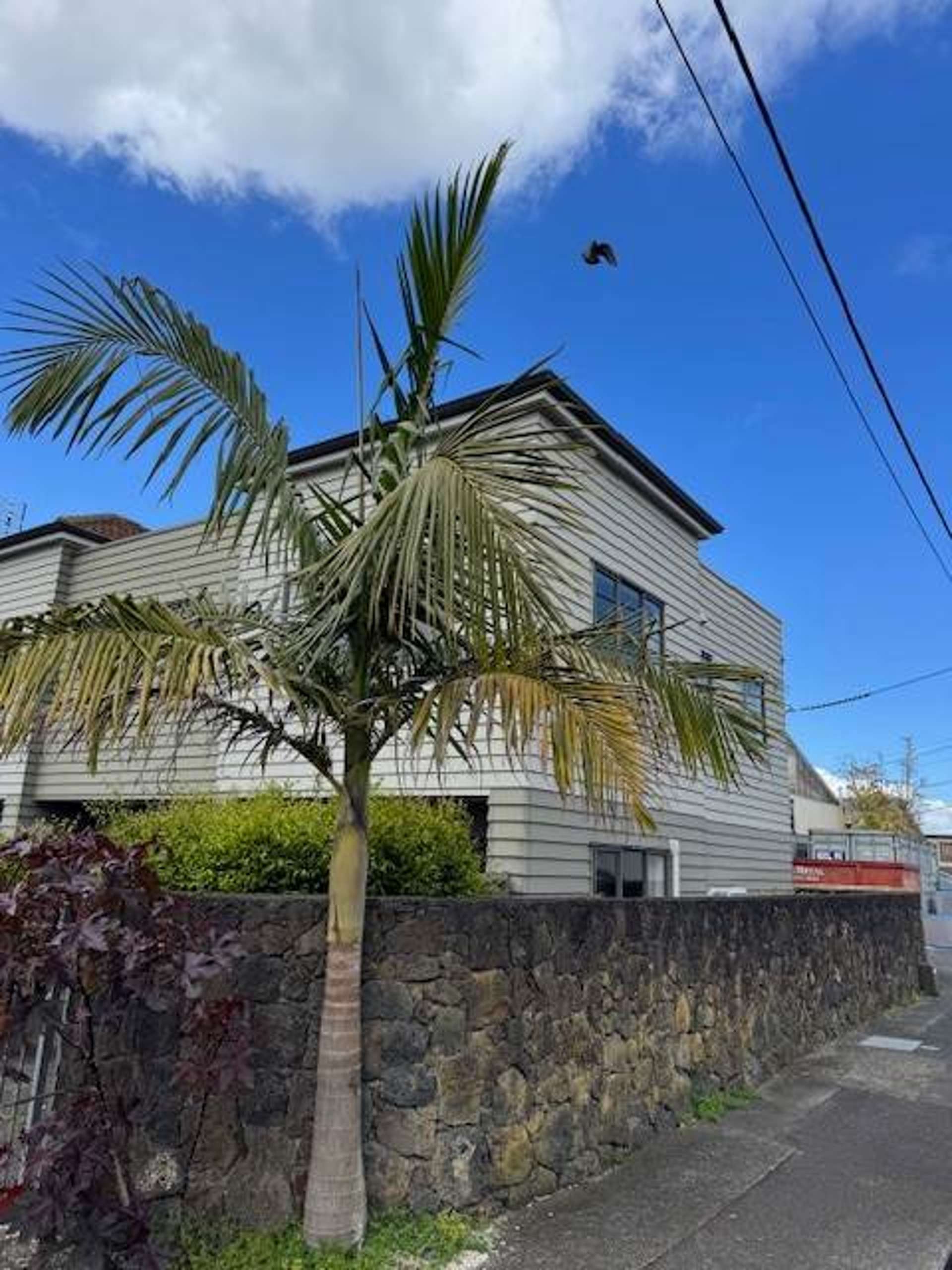 3A Waller Street Onehunga_0