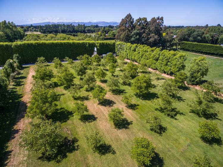 27 Guys Road Yaldhurst_3