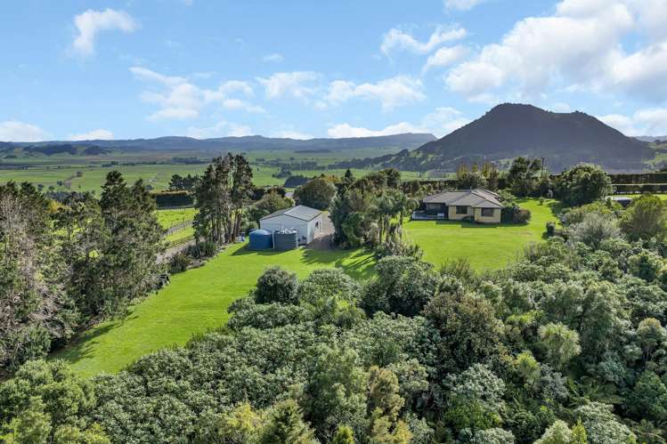 431 Apotu Road Kauri_31