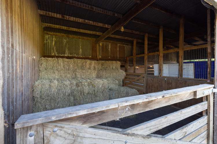 98 Lansdowne Road Richmond_20