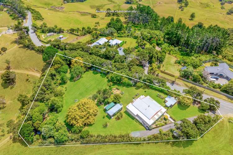 236 Kiwitahi Road Helensville_48