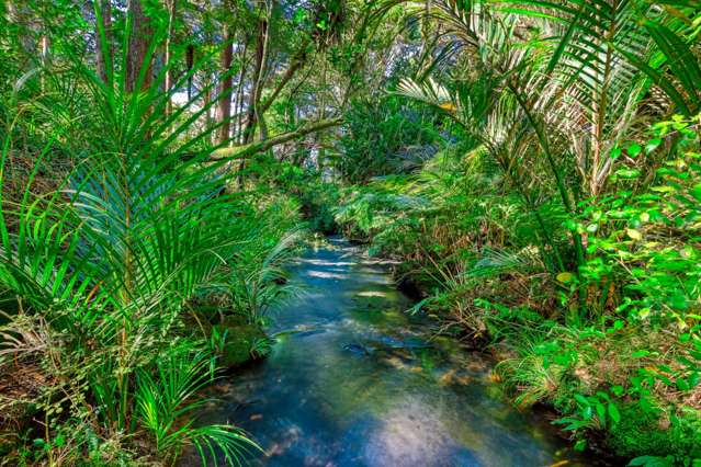 4b Rua Road Mangawhai_4