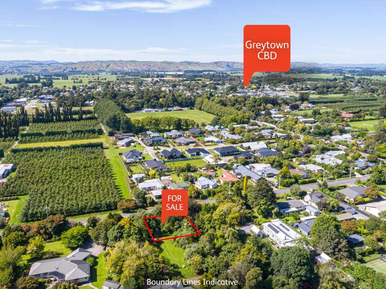 Lot 1, 21 Udy Street - Section Greytown_1