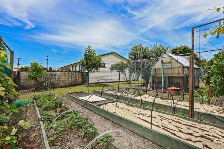 1026 Gordon Road Raureka_7