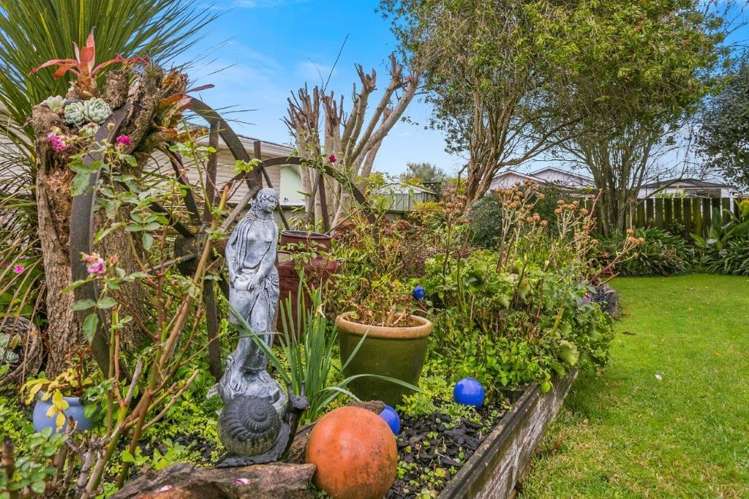11 North Street Morrinsville_13