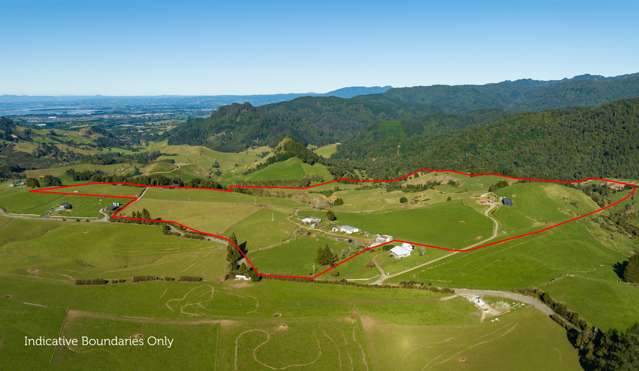 744 Woodlands Road Waihi_2