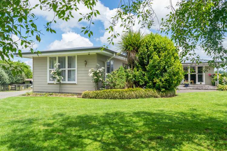 41 Sheehan Street Kihikihi_0