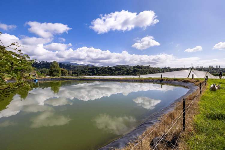 1151 Oreipunga Road Maungatautari_27