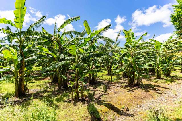 146 Bint Road Maungakaramea_3