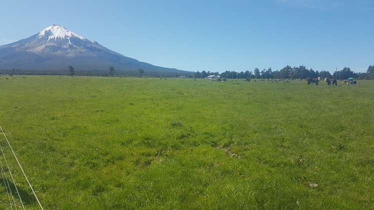 341 Puniho Road Newall_0