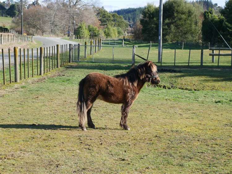 234 Rosedale Road Upper Moutere_30