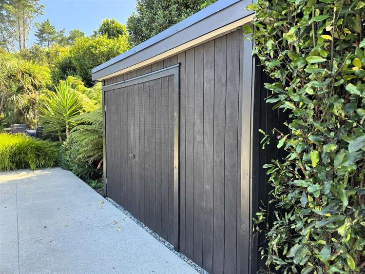 23 Pandora Avenue Camerons_25