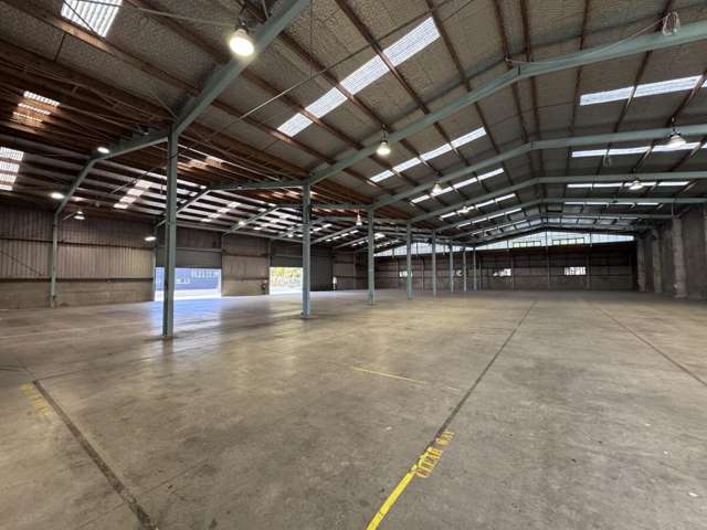 58 Koromiko Street Judea_3