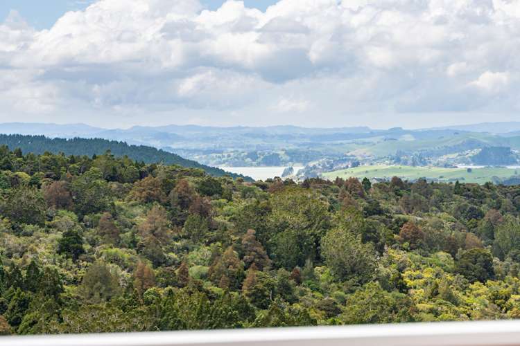 827 Tinopai Road Tinopai_20