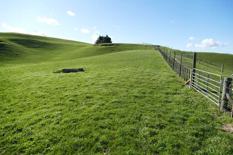 712 Matapiro Road Crownthorpe_21