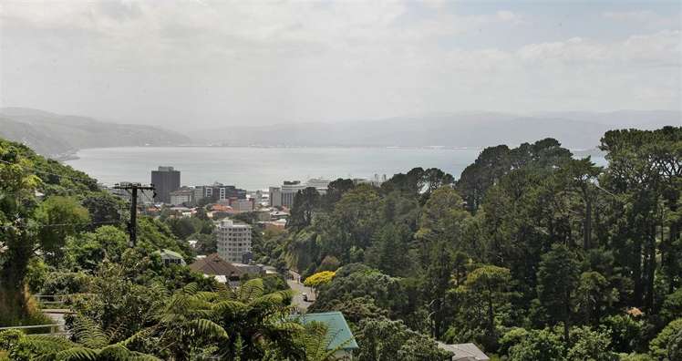 32 Garden Road Northland_7