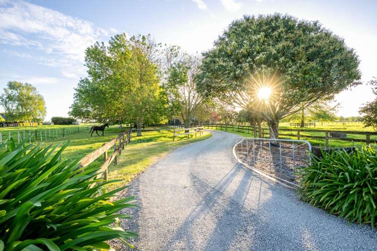 446 Mystery Creek Road Ohaupo_19