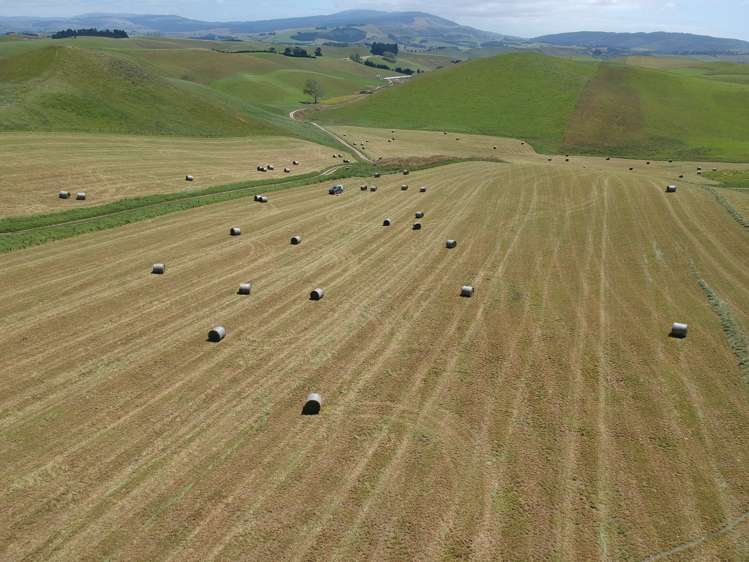 112 Waikakahi Valley Road Ikawai_9