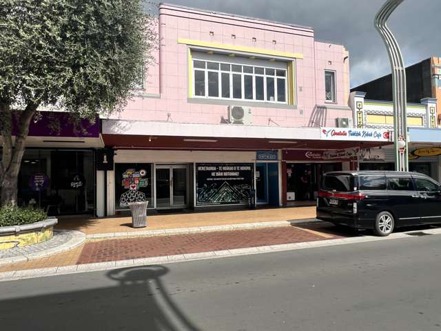 113 Heretaunga Street East Hastings_4