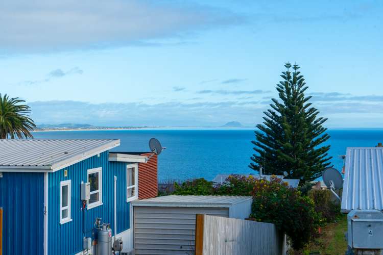 11 Williams Crescent Maketu_5