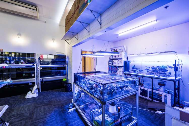 1ABCD/178 Broadway Newmarket_3