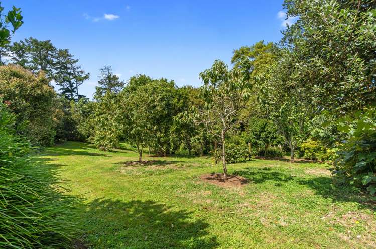 1009 Hetherington Road Ruawaro_32