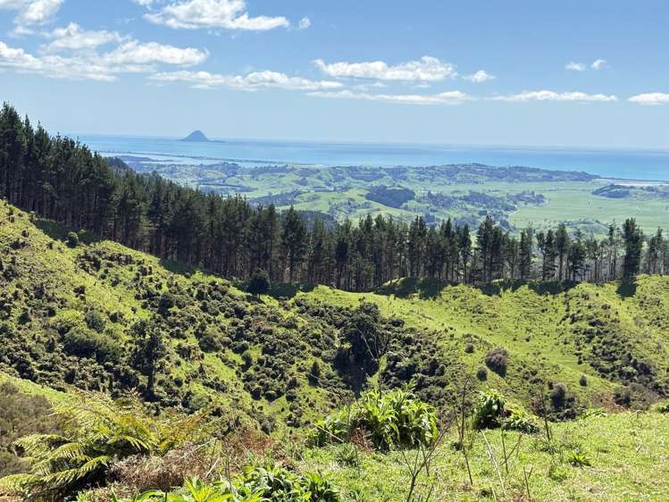 284 McCarthy Road Opotiki_2